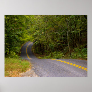 Winding Road Poster