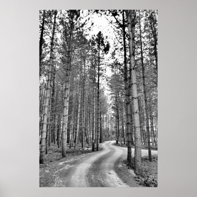 Winding Väg Poster (Framsidan)