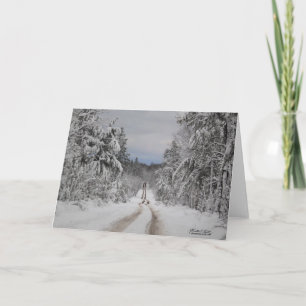 Winding Winter Road Kort