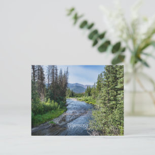 Winding Wyoming Stream (märkt) Vykort
