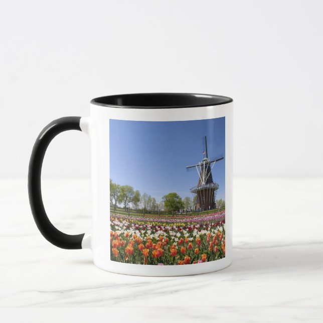 Windmill Island park med tulpaner i blomning vid Mugg (Vänster)
