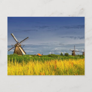 Windmills i Kinderdijk, Nederländerna Vykort
