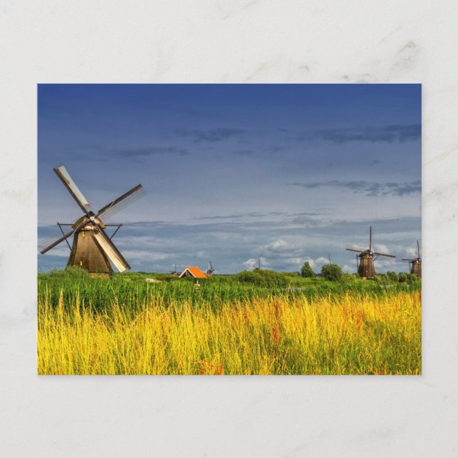Windmills i Kinderdijk, Nederländerna Vykort (Framsida)
