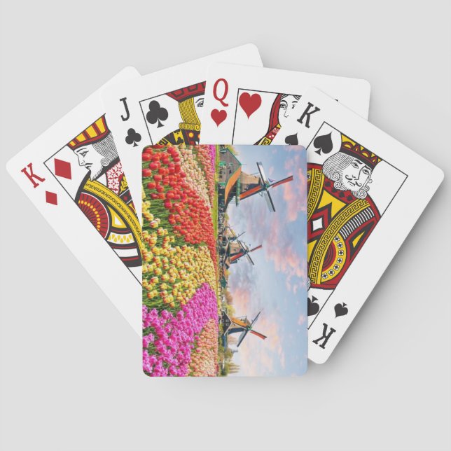 Windmills, Keukenhof, Nederländerna Casinokort (Baksidan)