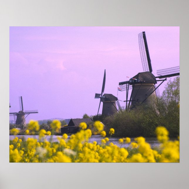 Windmills längs kanalen i Kinderdijk. Poster (Framsidan)