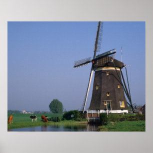 Windmills, Leidschendam, Nederländerna Poster