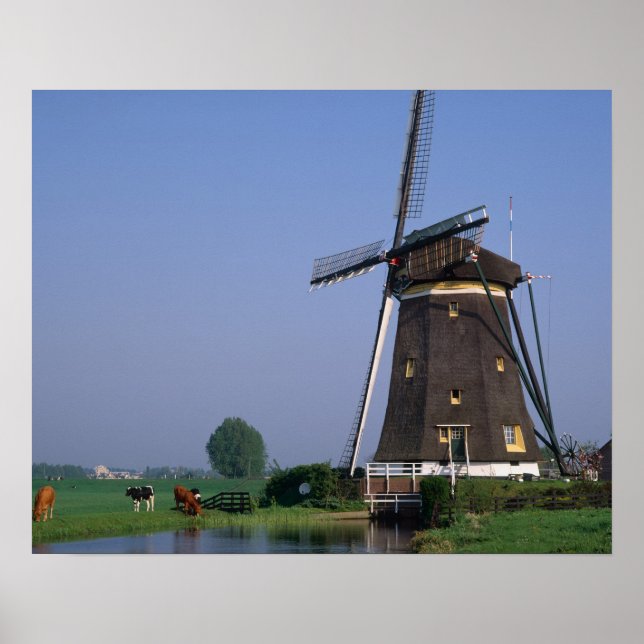 Windmills, Leidschendam, Nederländerna Poster (Framsidan)