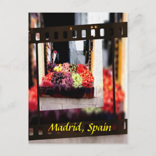 Window Fruit Market - Madrid, Spanien Vykort
