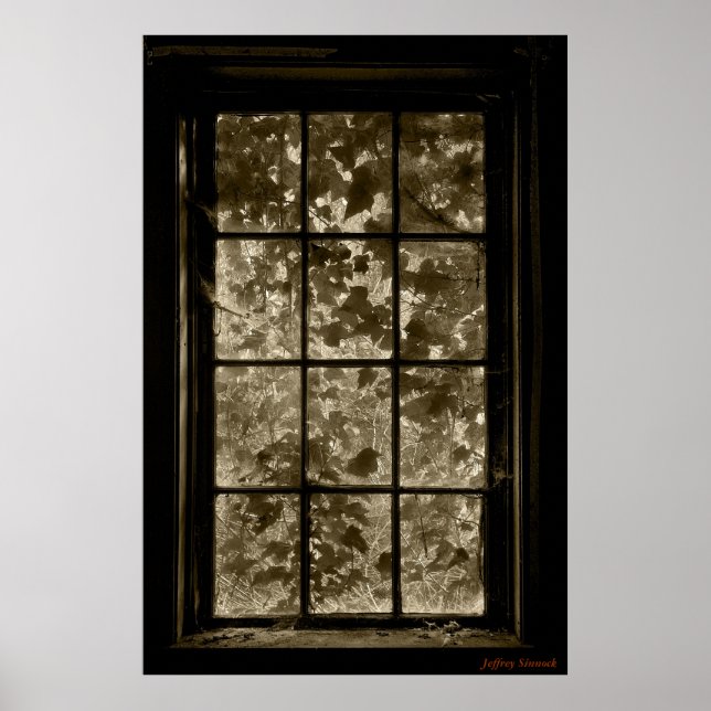 Window Ivy Sepia, Jeffrey Sinnock Poster (Framsidan)