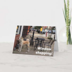 WINDOW SHOPPAR "AKITA" SAYS GRATTIS PÅ FÖDELSEDAGE KORT