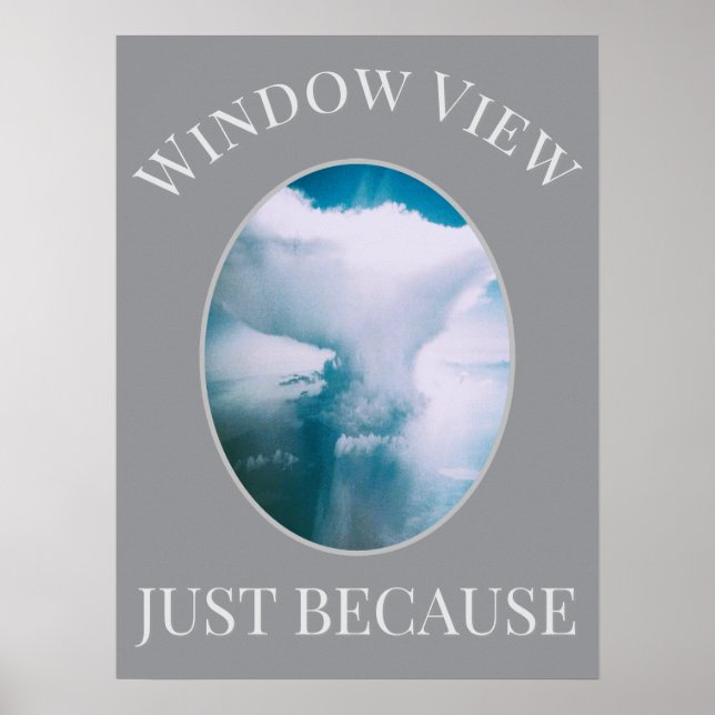                     Window View                  Poster (Framsidan)