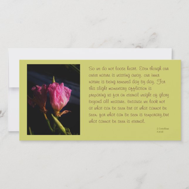 "Windows" blommor 018.JPG, så vi älskar inte.." (Framsida)