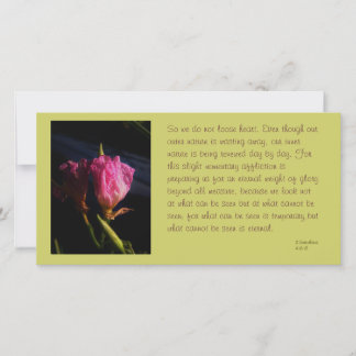 "Windows" blommor 018.JPG, så vi älskar inte.."