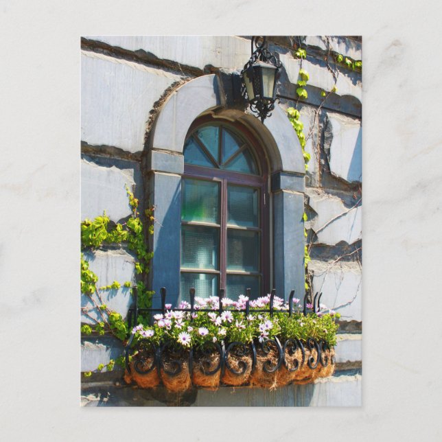 WINDOWS DOORS FLOWERS BUILDING POSTCROSSING VYKORT (Framsida)