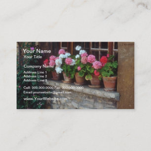 Windows i Perouges blommor Visitkort