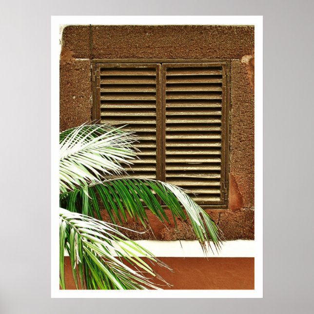 Windows (Portugal) Poster (Framsidan)