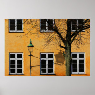 Windows Poster