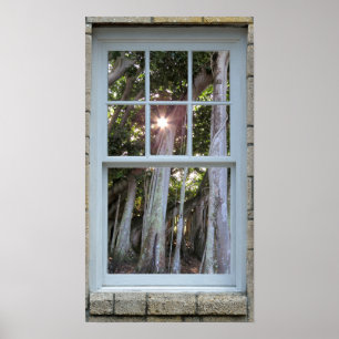 Windows-vy Banyan träd Starburst Skriv ut Poster