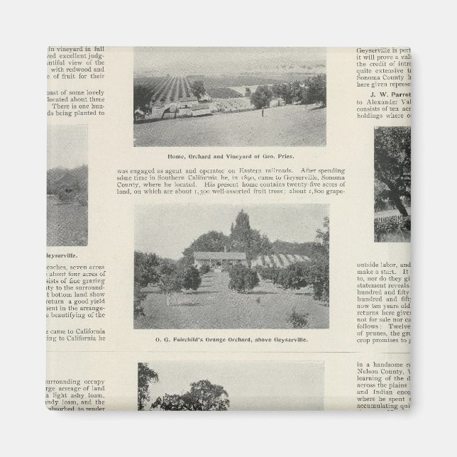 Windsor, Kalifornien Magnet (Framsidan)