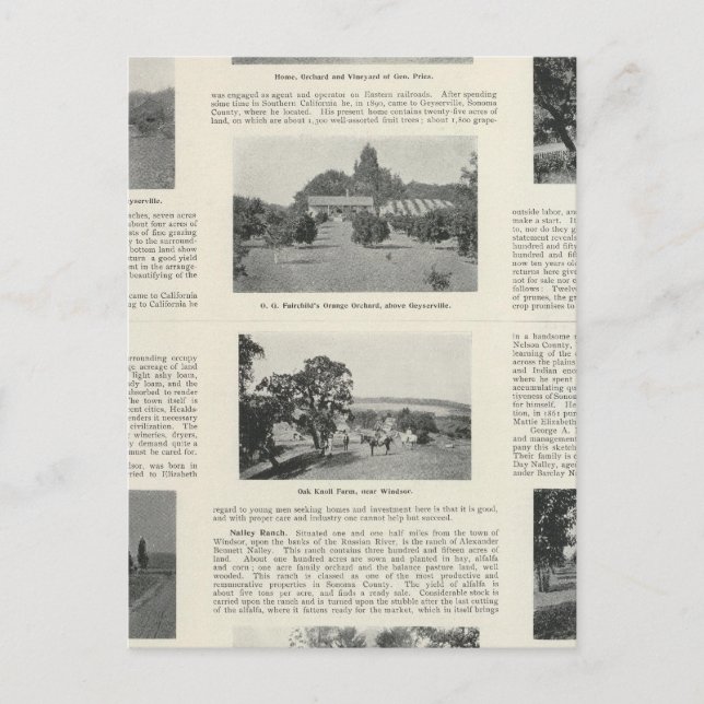 Windsor, Kalifornien Vykort (Framsida)