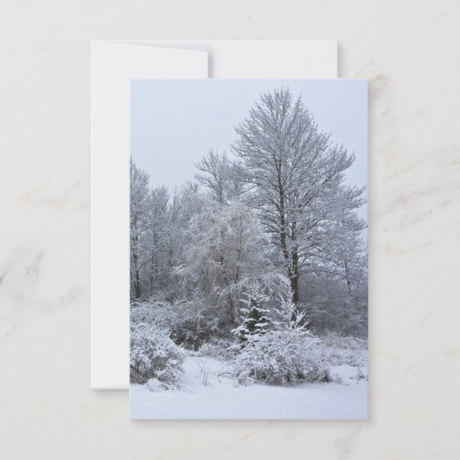Windsor Winter White jul Inbjudningar (Framsida)