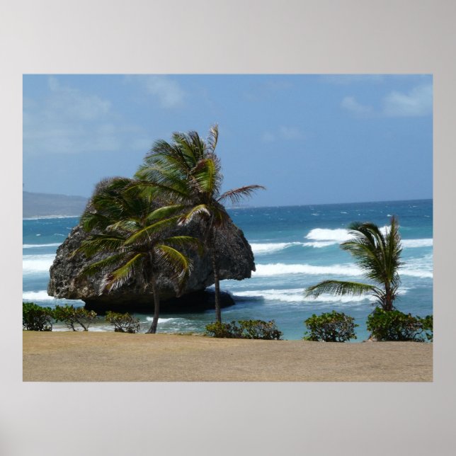 Windswept Poster (Framsidan)