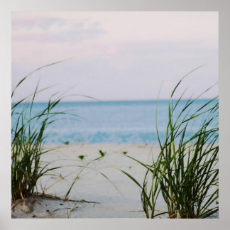 Windswept Shore Poster