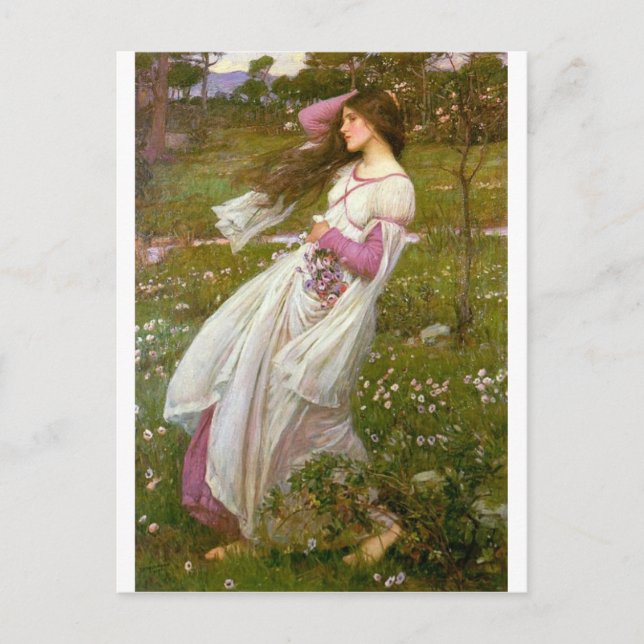 Windswept Vykort (Framsida)