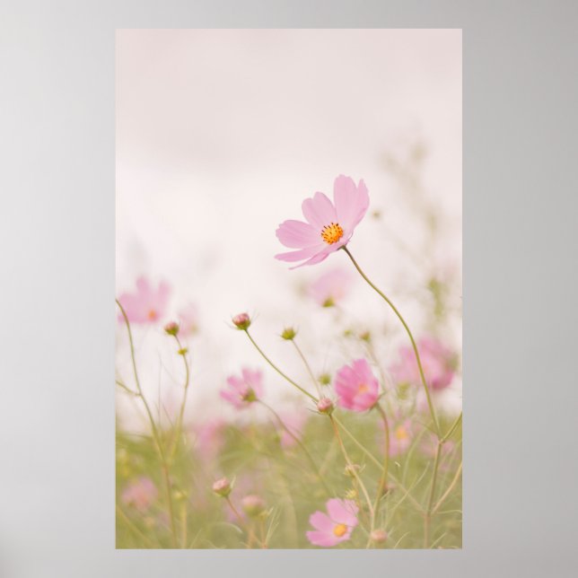 WINDY DAY POSTER (Framsidan)