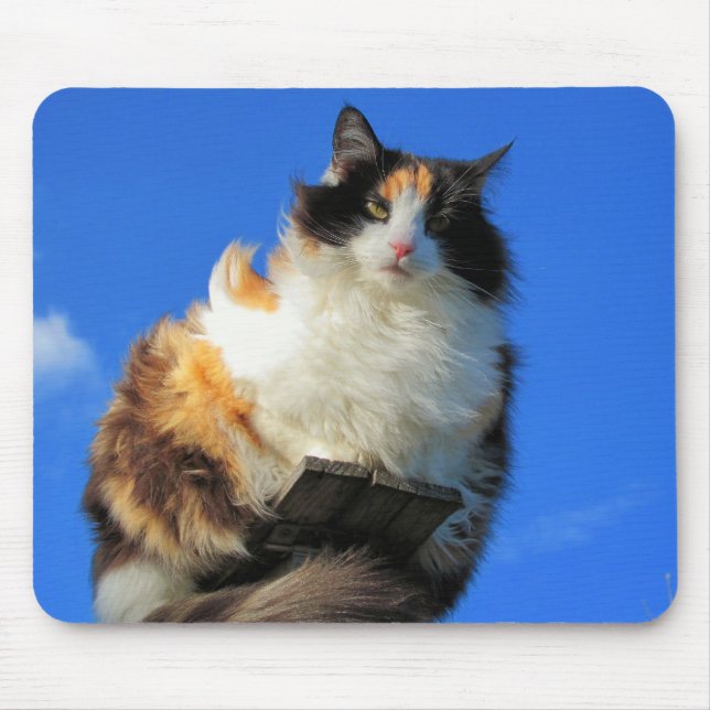 Windy här uppe musmatta (Framsidan)