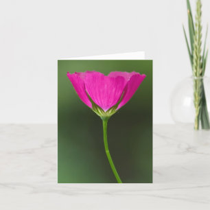 Winecup vildblomma Notecards Kort