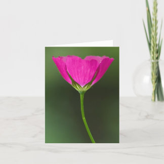 Winecup vildblomma Notecards Kort
