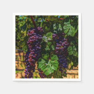 Winery Grapevine sony tuscany vineyard druvor Pappersservett
