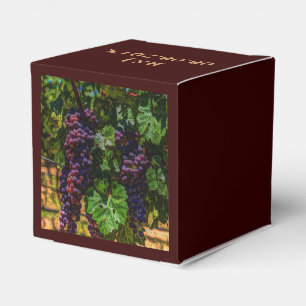 Winery Grapevine sony tuscany vineyard druvor Presentaskar