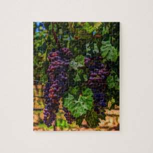 Winery Grapevine sony tuscany vineyard druvor Pussel