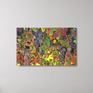 Winery Vineyard Wall Art fantastisk Canvastryck