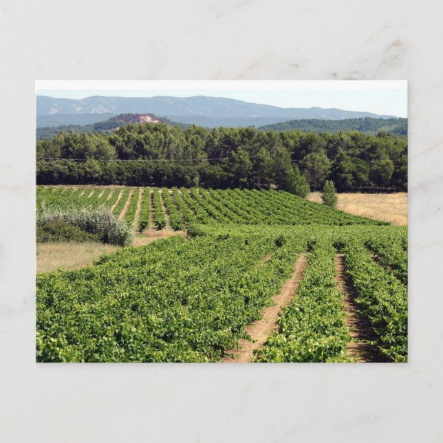 Wineyard i Frankrike Vykort (Framsida)