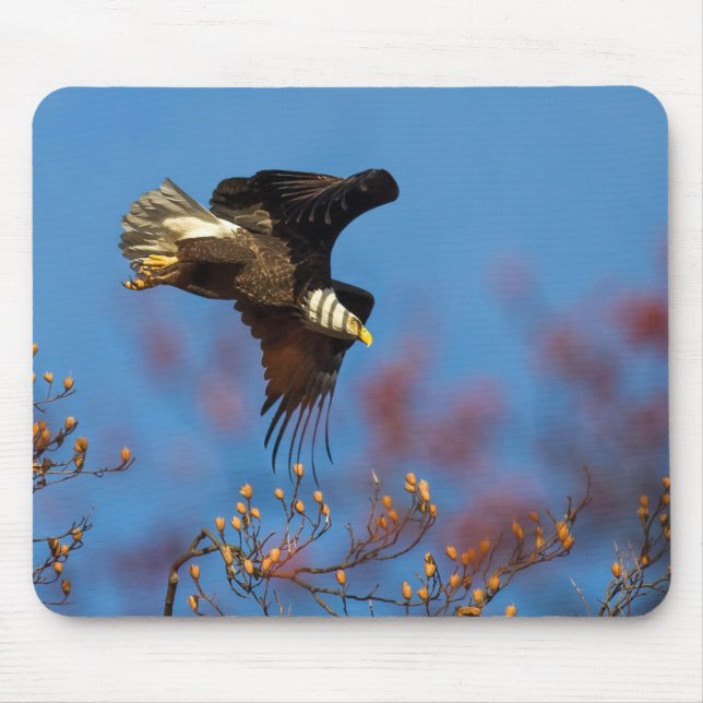 Wingadow Musmatta (Framsidan)