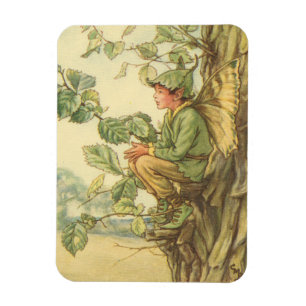 Winged Elm Fairy Sitta i Träd Magnet