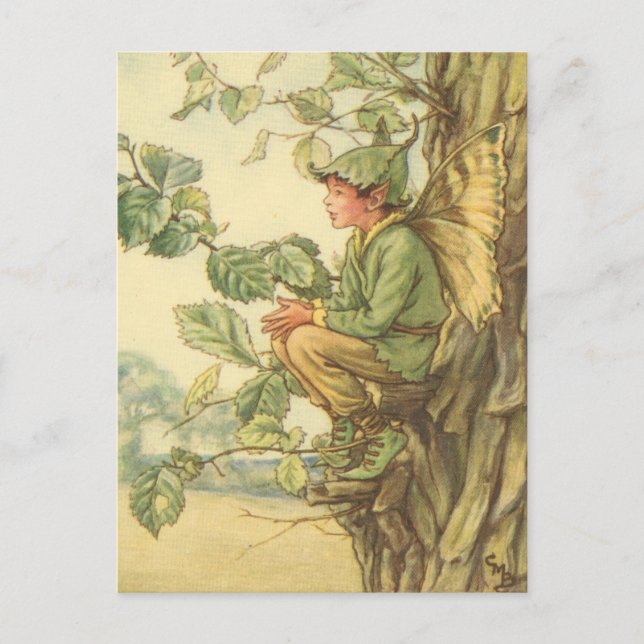 Winged Elm Fairy Sitta i Träd Vykort (Framsida)