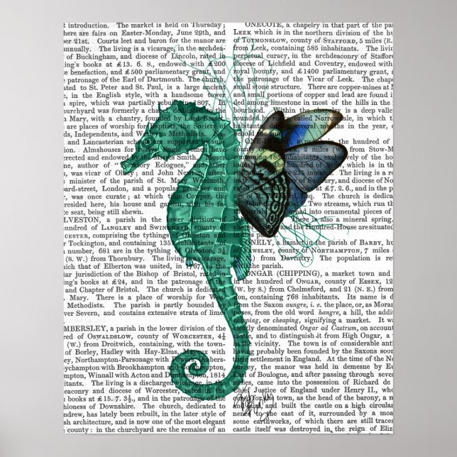 Winged Seahorse Poster (Framsidan)