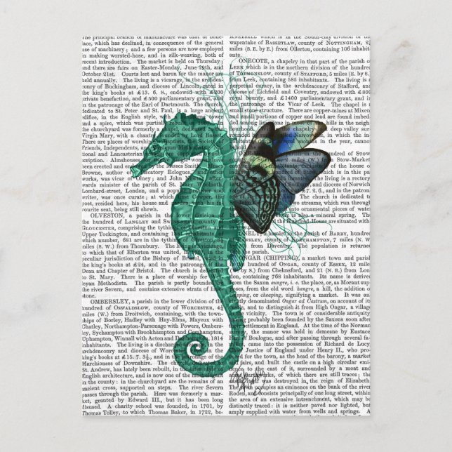Winged Seahorse Vykort (Framsida)