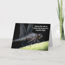 "Winged Wisdom - The Dragonfly's Tale"