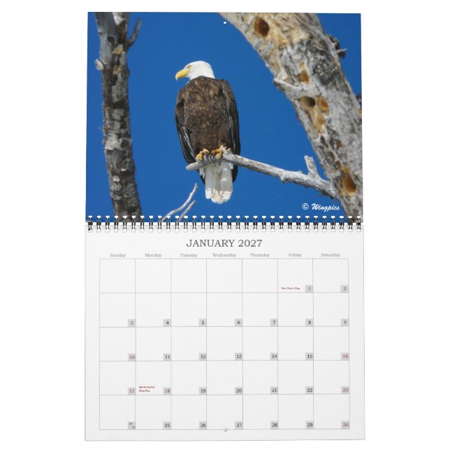 Wingpics Eagle Calendar 2012 Kalender (Jan 2027)