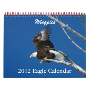 Wingpics Eagle Calendar 2012 Kalender