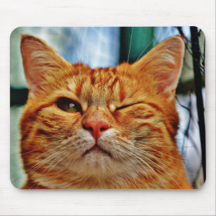 Wink kattunge musmatta