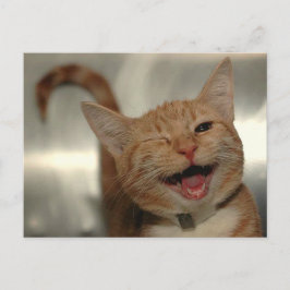 Winking Lycklig Ginger Cat Vykort