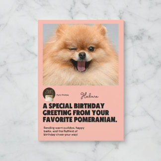Winking Pommern Birthday Card Kort
