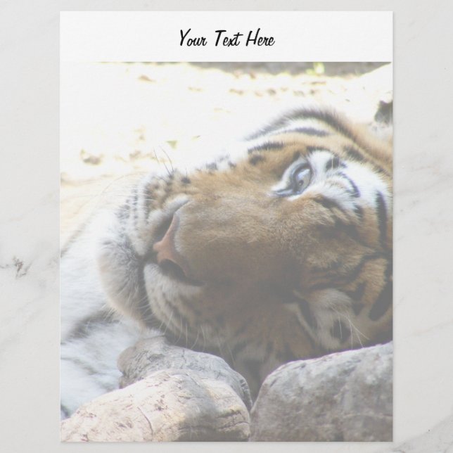Winking Tiger (Framsida)