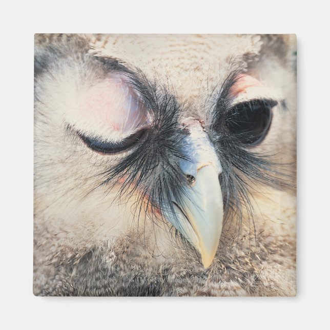 Winking Uggla Magnet (Framsidan)
